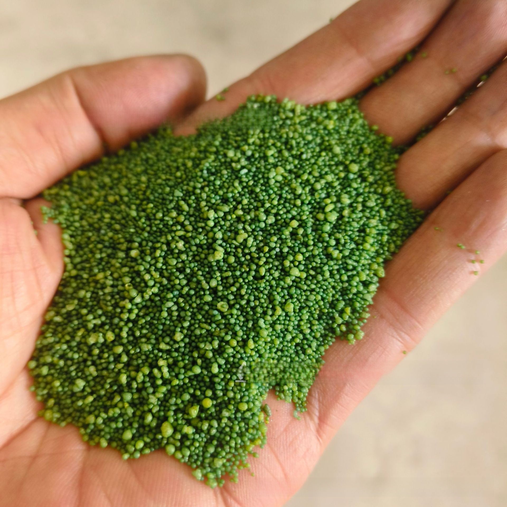 The Eggshell Membrane Wax Sand Egg Sit Stabilizer and Lifter for the eggshell challenge