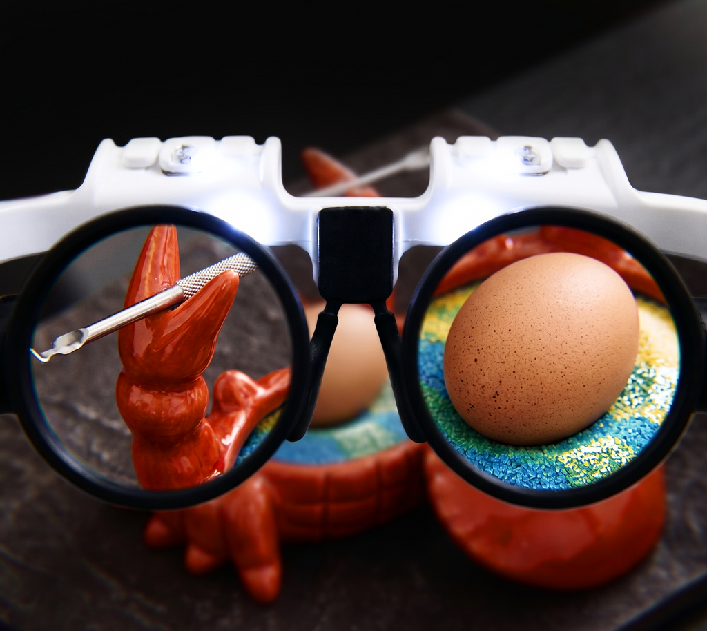 The Eggshell Membrane Challenge White and Black Mechanical Magnifying Remove and See Headset Lamp